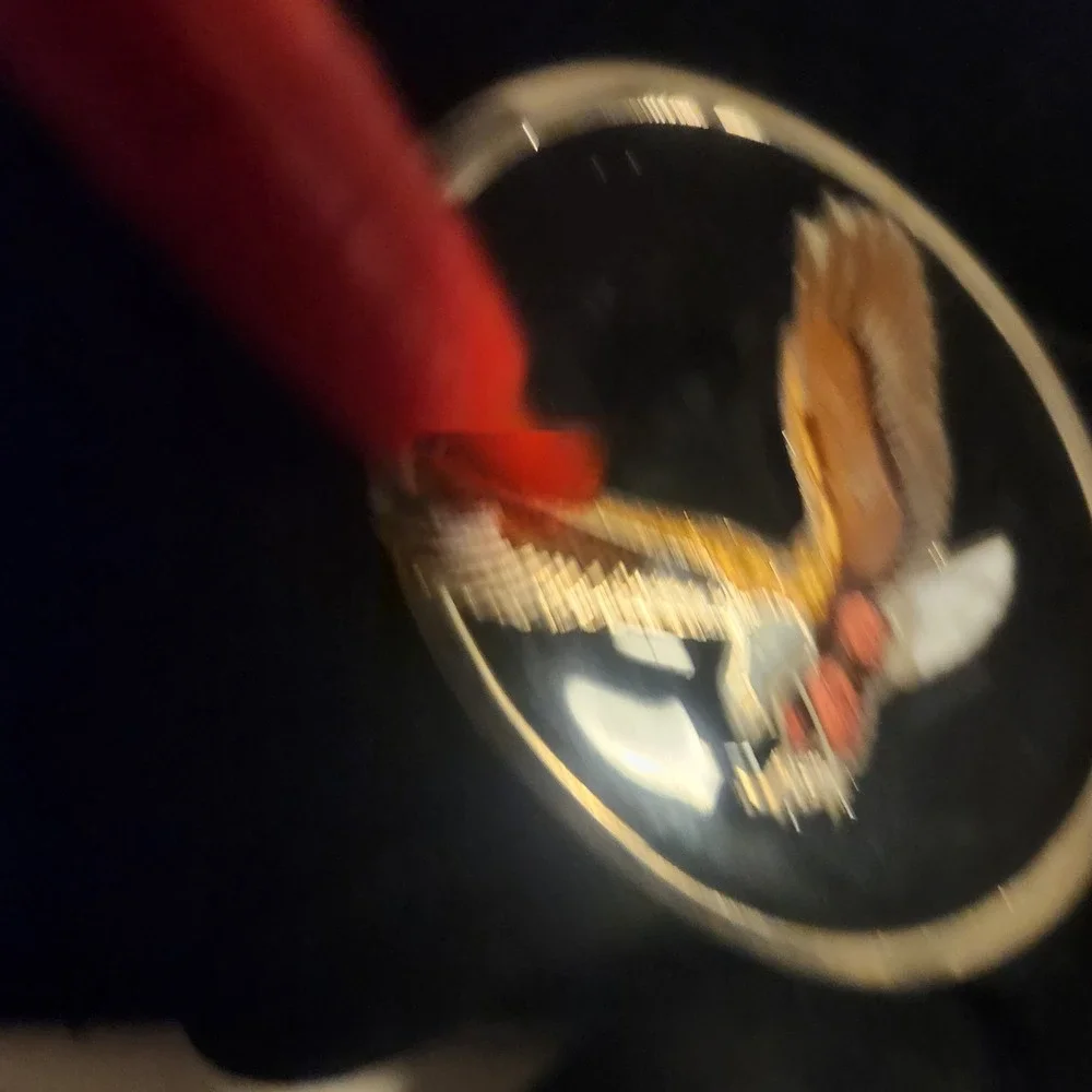 Vintage Soaring Eagle Bolo Black Enamel‎ Silver Tone Oval Western Americana
